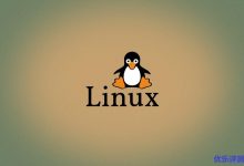 Linux服务器VPS的Windows DD包详细的制作教程-康维主机测评-网站SEO优化