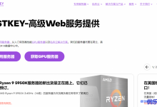 Hostkey服务器:98欧元/月/Ryzen 9 3900X/32G DDR4/500G NVMe SSD/100Mbps(可升级到1Gbps)/不限流量-康维主机测评-网站SEO优化