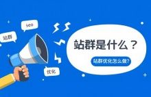 站群的作用价值以及站群的排名原理和作用分析-康维主机测评-网站SEO优化