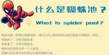 什么是蜘蛛池,详解蜘蛛池的外推方法与技巧-康维主机测评-网站SEO优化