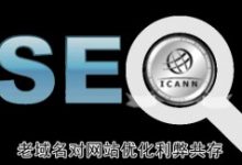 老域名的选择，老域名对网站优化利弊共存-康维主机测评-网站SEO优化