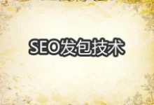 实现SEO快排发包技术原理解密-康维主机测评-网站SEO优化