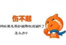 如何判断网站是否受到了搜索引擎的惩罚-康维主机测评-网站SEO优化