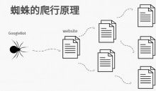 探秘搜索引擎蜘蛛的抓取规律，外链是否有时效性-康维主机测评-网站SEO优化