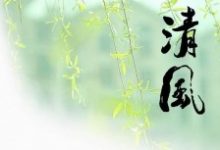 百度SEO算法升级,新推出《清风算法》严惩网页标题作弊!-康维主机测评-网站SEO优化