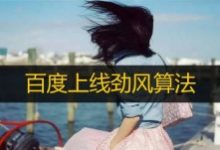 百度上线劲风算法,专门打击聚合页-康维主机测评-网站SEO优化