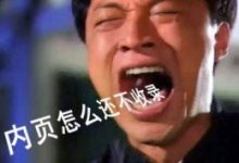 搜索引擎为什么不收录网站内页?-康维主机测评-网站SEO优化