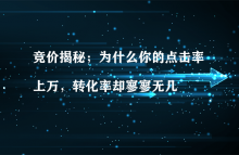 竞价揭秘；为什么你的点击率上万，转化率却寥寥无几-康维主机测评-网站SEO优化