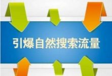 自然搜索流量如何提升?直通车标签如何优化?-康维主机测评-网站SEO优化