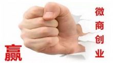恐慌:微商造就了“伪创业”迷局-康维主机测评-网站SEO优化