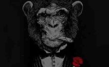 超级蜘蛛池之不为人知的互联网黑色产业-康维主机测评-网站SEO优化