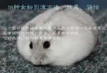 18种女粉引流方法、效果、评估-康维主机测评-网站SEO优化