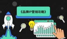 品牌IP营销攻略,从种草到打造IP-康维主机测评-网站SEO优化