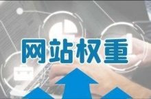 探索网站权重的真实面纱,搜索引擎到底存不存所谓的权重-康维主机测评-网站SEO优化