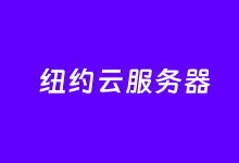 丽萨主机商纽约家宅网络原生IP大带宽云服务器-康维主机测评-网站SEO优化