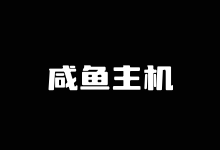 SaltyFish 咸鱼云德国CN2 GIA VPS 2.5Gbps大带宽 $18.5/季-康维主机测评-网站SEO优化