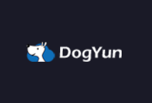 DogYun 狗云服务商限时推出年付低至199元的香港原生IP VPS-康维主机测评-网站SEO优化