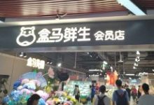 烧光阿里100亿,盒马鲜生也扛不住了:关店、砍业务-康维主机测评-网站SEO优化