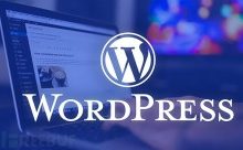 外贸独立站 WordPress SEO优化的28个步骤-康维主机测评-网站SEO优化