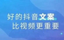 短视频文案号从0起号做到1万以上粉丝全套流程-康维主机测评-网站SEO优化