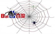 什么是搜索引擎蜘蛛?如何吸引蜘蛛来抓取页面?-康维主机测评-网站SEO优化