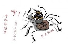 解读百度蜘蛛抓取系统与建库索引-康维主机测评-网站SEO优化