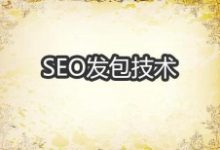 实现SEO快排发包技术原理解密-康维主机测评-网站SEO优化