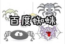 什么是搜索引擎蜘蛛抓取份额?-康维主机测评-网站SEO优化