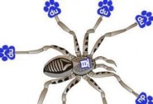 SEO网站优化中增加百度蜘蛛抓取技巧-康维主机测评-网站SEO优化