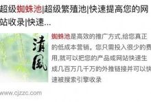 “闪电算法”解读-康维主机测评-网站SEO优化