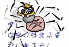 SEO的秘密：一只百度蜘蛛的独白-康维主机测评-网站SEO优化