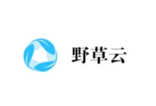 野草云黑色星期五2024发布年付99元的云服务器-康维主机测评-网站SEO优化