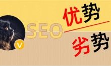 SEO流量分析:SEO的优势与劣势-康维主机测评-网站SEO优化