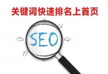 SEO快排是什么、原理、如何判断及应对-康维主机测评-网站SEO优化