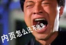 搜索引擎为什么不收录网站内页？-康维主机测评-网站SEO优化