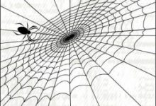 蜘蛛快速抓取网站方法大合集-康维主机测评-网站SEO优化