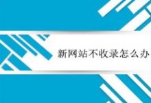 网站上线一个月了怎么没收录?-康维主机测评-网站SEO优化