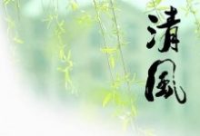 百度SEO算法升级，新推出《清风算法》严惩网页标题作弊！-康维主机测评-网站SEO优化