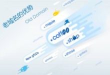 利用老域名打造新站快速收录排名!-康维主机测评-网站SEO优化