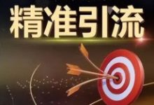 跨境电商独立站有哪些精准引流渠道？-康维主机测评-网站SEO优化