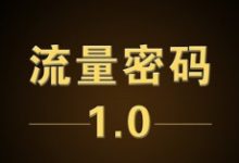 掌握互联网流量密码,分析十种引流方法-康维主机测评-网站SEO优化
