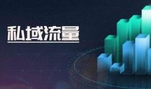 全网引流精准粉丝，打造百万私域流量池-康维主机测评-网站SEO优化