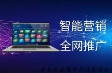 如何在家利用SEO做全网霸屏营销?-康维主机测评-网站SEO优化