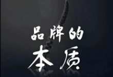 品牌的本质品牌营销与互联网品牌的引导术-康维主机测评-网站SEO优化