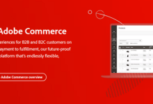 外贸独立网站用哪个程序比较好?4个适合跨境电商独立网站程序推荐-康维主机测评-网站SEO优化