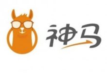 搜索引擎神马Spider介绍-康维主机测评-网站SEO优化