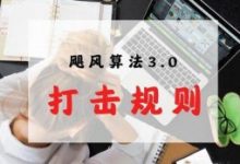 百度飓风算法3.0官方详细解读、打击规则-康维主机测评-网站SEO优化