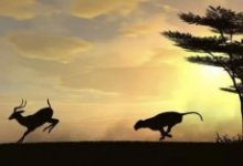 什么是营销?-康维主机测评-网站SEO优化