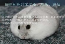 18种女粉引流方法、效果、评估-康维主机测评-网站SEO优化