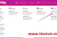 GigsGigsCloud 新增限量优化洛杉矶VPS CN2 GIA 年付 $70-康维主机测评-网站SEO优化